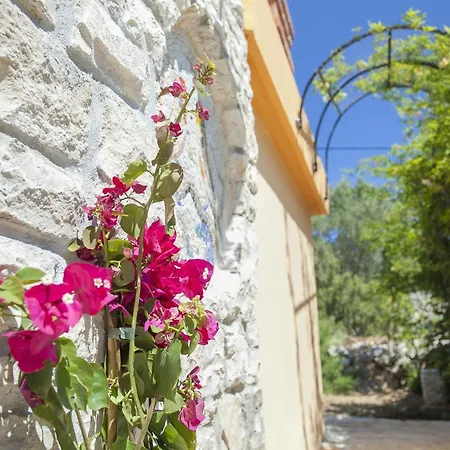 Semesterbostad Stone House San Pelegrin-two Bedroom With Terrace And Sea View Vela Luka