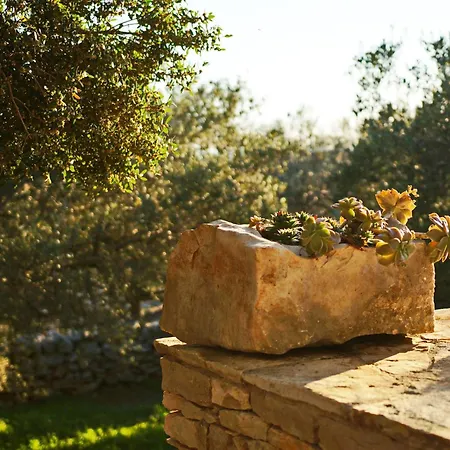 Semesterbostad Stone House San Pelegrin-two Bedroom With Terrace And Sea View Vela Luka
