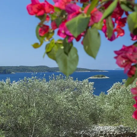Stone House San Pelegrin-two Bedroom With Terrace And Sea View Vela Luka