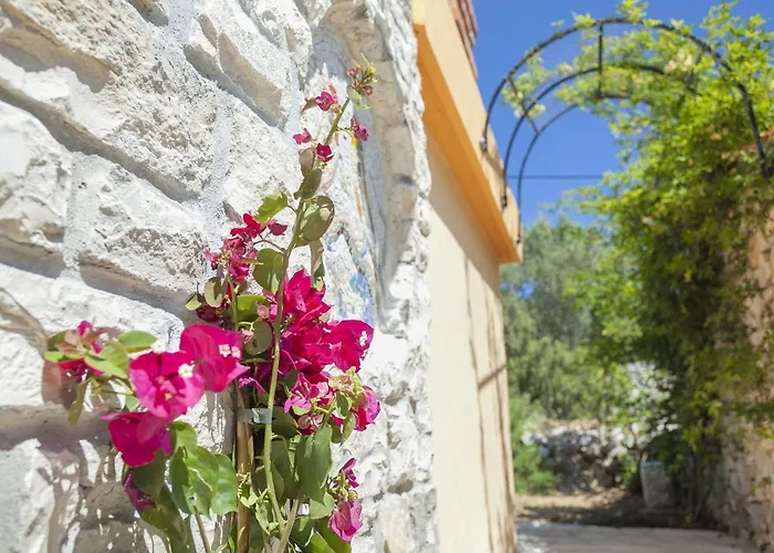 Holiday home Stone House San Pelegrin-two Bedroom With Terrace And Sea View Vela Luka