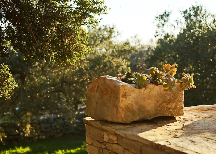 Holiday home Stone House San Pelegrin-two Bedroom With Terrace And Sea View Vela Luka