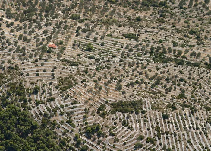 Stone House San Pelegrin-two Bedroom With Terrace And Sea View * Vela Luka